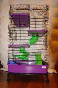 ferret cage purple