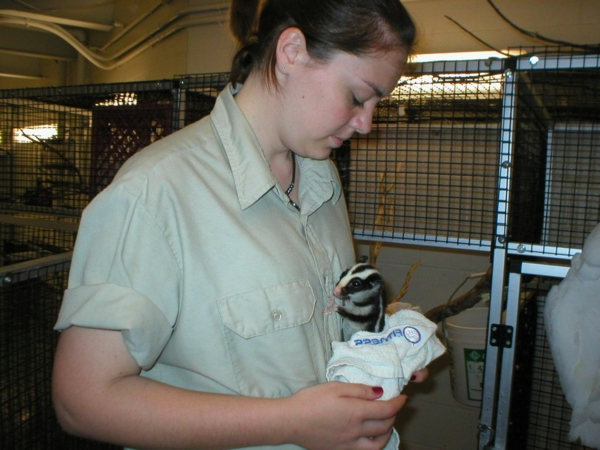 izzy_omaha_zoo_394350609hQLiRw_fs.jpg